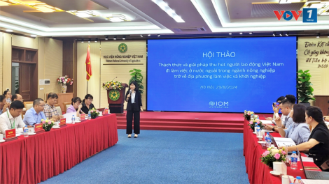 Khuyến khích nhân lực trong ngành nông nghiệp đi học tập làm việc tại nước ngoài khởi nghiệp tại địa phương (29/8/2024)