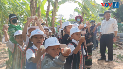 Kon Tum không để xảy ra lạm thu và gây khó cho phụ huynh đầu năm học mới (14/8/2024)
