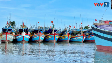 Ngư dân Bà Rịa – Vũng Tàu dùng phần mềm eCDT để khai báo nhật ký khai thác (04/8/2024)