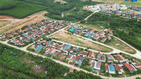 Xây dựng nông thôn mới tại Bình Định (18/8/2024)