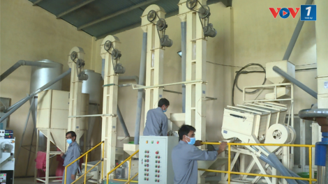 Ứng dụng khoa học kỹ thuật hiện đại để nâng tầm sản phẩm OCOP Bình Định (08/8/2024)