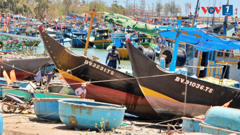 Gỡ khó cho tàu cá “3 không” phát sinh mới ở Bà Rịa - Vũng Tàu (07/8/2024)