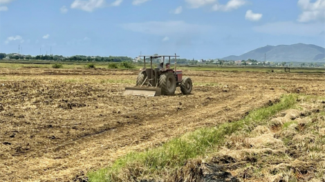 Cơ giới hóa nông nghiệp và ứng dụng công nghệ sau thu hoạch để nâng chất lượng sản phẩm (12/8/2024)