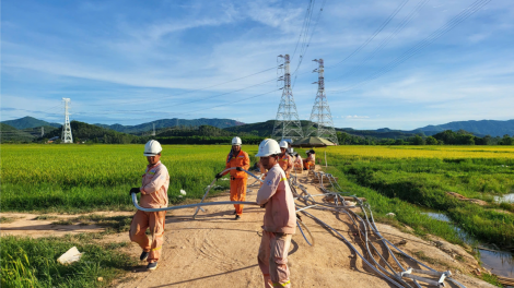 Những bài học lớn từ công trình đường dây 500KV mạch 3 Quảng Trạch-Phố Nối (28/8/2024)