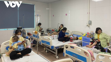 Giảm ca nặng do bệnh sốt xuất huyết và cúm mùa (24/8/2024)