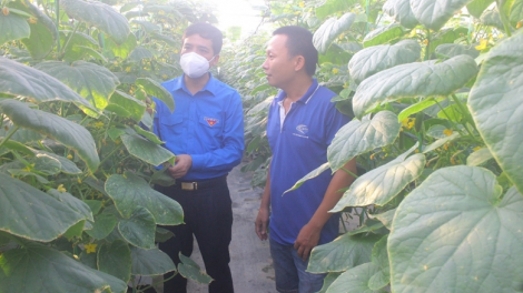 Bắc Ninh: Tổ chức đoàn đồng hành cùng thanh niên lập nghiệp