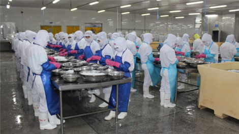 Xuất khẩu nông, thủy sản lại có nguy cơ bị" tuýt còi" (07/8/2024)