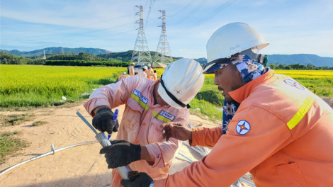 Nỗ lực về đích đúng hẹn Dự án đường dây 500kV mạch 3 Quảng Trạch - Quỳnh Lưu (22/08/2024)