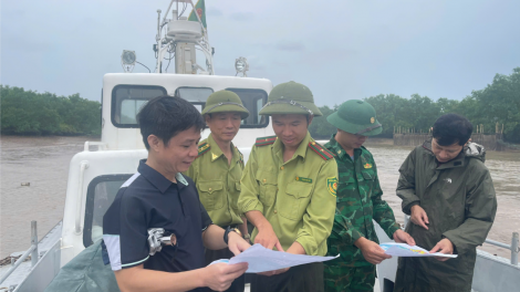 Đã xác lập được vị trí, diện tích Khu bảo tồn thiên nhiên đất ngập nước Tiền Hải, Thái Bình (23/08/2024)
