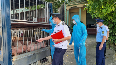 Tăng cường kiểm tra, phát hiện và xử lý vi phạm về an toàn thực phẩm những tháng cuối năm (26/9/2024)