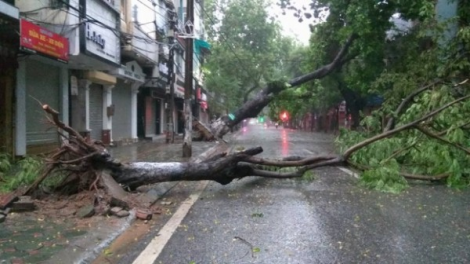 THỜI SỰ 21H30 ĐÊM 6/9/2024: Siêu bão số 3 tên quốc tế là Yagi sẽ vào Vịnh Bắc Bộ đêm nay.