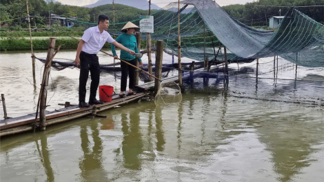 Thoát nghèo nhờ vay vốn đầu tư chăn nuôi, trồng trọt (17/9/2024)