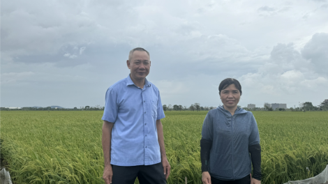 Xã Mão Điền, Bắc Ninh: Nông nghiệp ứng phó với thiên tai: Thành công nhờ cách làm “phòng” hơn “chống” (10/9/2024)