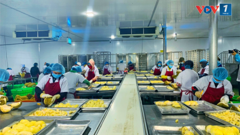 Nông nghiệp Đắk Lắk kỳ vọng vào các dự án chế biến nông sản mới (23/9/2024)