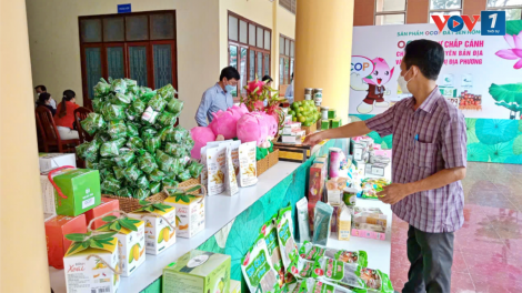 Phấn đấu 100% sản phẩm OCOP Đồng Tháp được kinh doanh trực tuyến (13/9/2024)