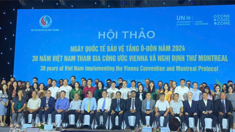 Việt Nam đã loại trừ được 220 triệu tấn CO2 (16/9/2024)