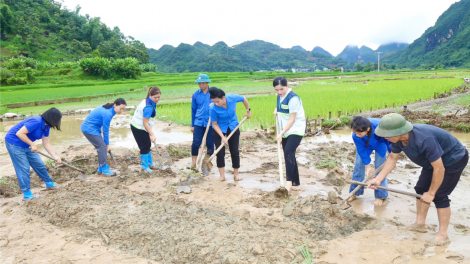 Những cánh đồng xanh trở lại nơi rốn lũ Sơn La (26/9/2024)