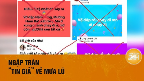 Cơ quan chức năng khuyến cáo người dân cảnh giác với tin giả trên mạng xã hội (12/9/2024)