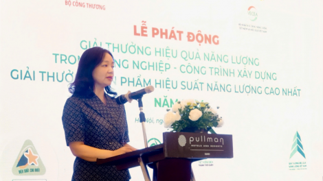 Phát động Giải thưởng Hiệu quả năng lượng trong công nghiệp - công trình xây dựng năm 2024; Giải thưởng Sản phẩm hiệu suất năng lượng cao nhất năm 2024 (25/09/2024)