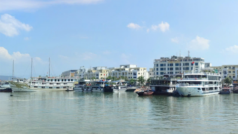 Quảng Ninh: Khẩn trương khôi phục và tái thiết kinh tế sau bão số 3 (22/9/2024)