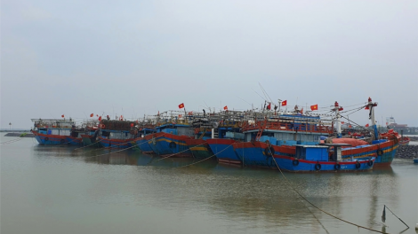 Miền Trung cấm tàu thuyền ra khơi và tạm dừng tuyến tàu khách đi các đảo (16/9/2024)