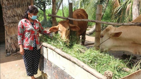 Sóc Trăng: Hội phụ nữ lan tỏa tinh thần khởi nghiệp, thực hiện công tác giảm nghèo bền vững (19/09/2024)