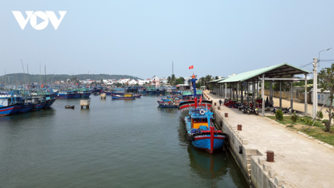 Bình Định nỗ lực chống khai thác IUU (18/09/2024)
