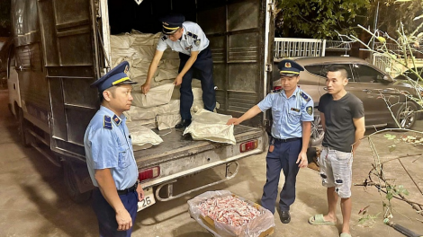 Tăng cường quản lý an toàn thực phẩm dịp Tết Nguyên đán Ất Tỵ và mùa lễ hội Xuân 2025 (10/1/2025)