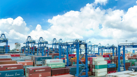 Tàu container ghé nhiều, cảng Bà Rịa – Vũng Tàu khởi sắc (15/1/2024)