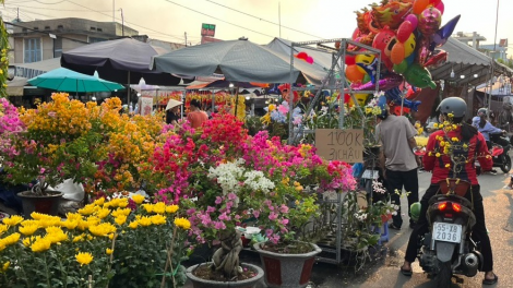 Người dân TP Hồ Chí Minh xuống phố mua hoa, cây cảnh đón Tết (10/1/2025)