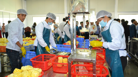 Thu ngân sách của Hà Nội đạt con số ấn tượng vượt 500.000 tỷ đồng (12/1/2025)