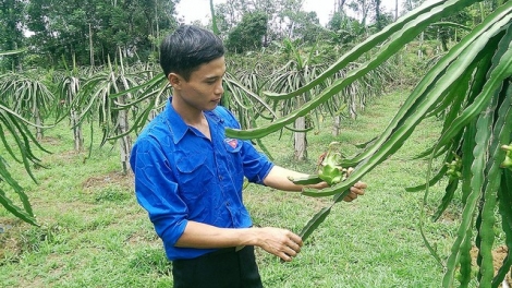 Nguyễn Tiến Dũng - chàng trai rời giảng đường để theo đuổi ước mơ khởi nghiệp.(12/4/2016)