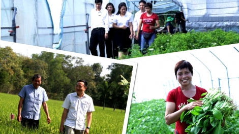 Tất niên với những người đam mê ruộng đồng (24/1/2020)