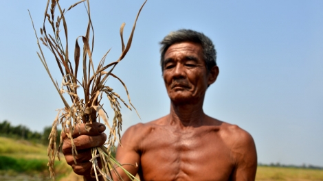 Giải pháp nào để Đồng bằng sông Cửu Long thích ứng với hạn mặn? (23/3/2016)