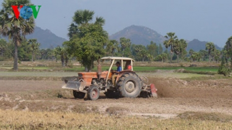Nhiều địa phương tại khu vực Đồng bằng sông Cửu Long phải đứng trước nguy cơ cháy rừng cấp cực kỳ nguy hiểm. (Thời sự trưa 24/02/2016)