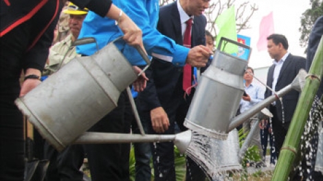 Hôm nay, mùng 5 Tết Bính Thân, các địa phương trên cả nước tổ chức ngày Tết trồng cây, hưởng ứng lời kêu gọi của Chủ tịch Hồ Chí Minh cách đây hơn nửa thế kỷ. (Thời sự trưa 12/02/2016)