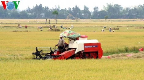Hậu Giang tập trung các nguồn lực đầu tư để phát triển ngành nông nghiệp bền vững. (27/3/2016)