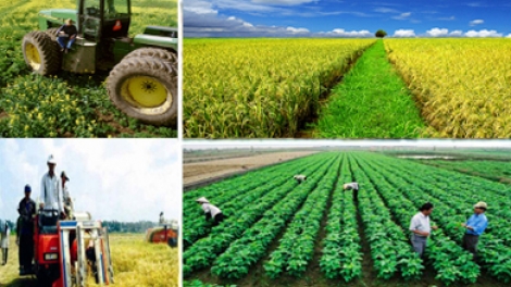 Nông nghiệp Hà Tĩnh vững bước trước hội nhập. (16/02/2016)