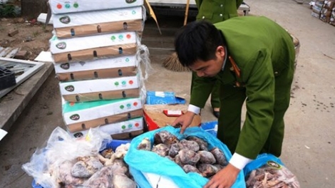 Quyết liệt ngăn chặn tình trạng buôn bán nội tạng bẩn. (13/01/2016)
