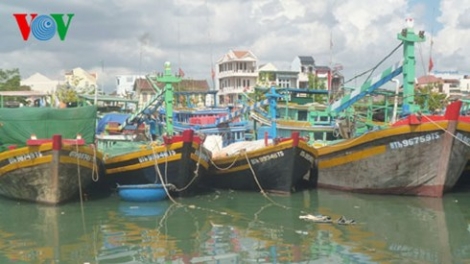 An toàn lao động nghề biển và những vấn đề đặt ra. (09/12/2015)