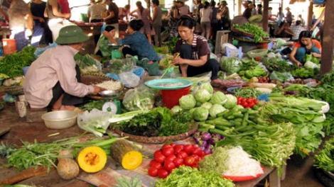 Để có thực phẩm an toàn phải thay đổi tư duy từ sản xuất đến tiêu dùng (16/01/2016)