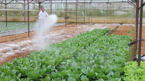 Chuỗi giá trị nông sản Việt với sự hợp tác của JICA. (24/12/2015)