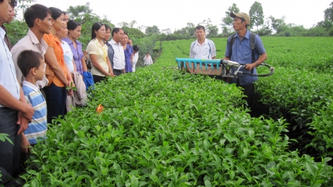 Chuyển giao tiến bộ khoa học kỹ thuật về nông thôn, miền núi. (05/4/2016)