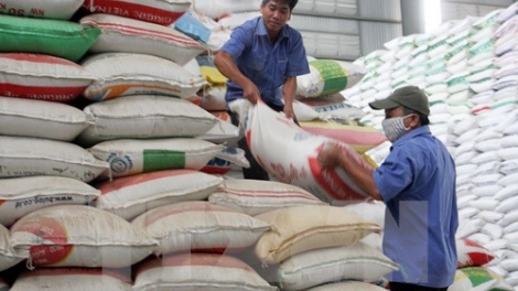 Có gần 815 nghìn người trong cả nước được cấp gạo cứu đói trong dịp Tết Nguyên đán này (Thời sự đêm 20/1/2016)