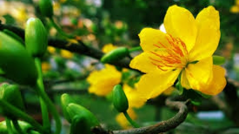 Khúc hát tin yêu (Phần 1)