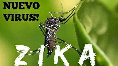 Bộ Y tế và tỉnh Khánh Hòa bác bỏ thông tin Khánh Hòa có 4 bệnh nhân dương tính với virus Zika. (Thời sự chiều 30/3/2016)