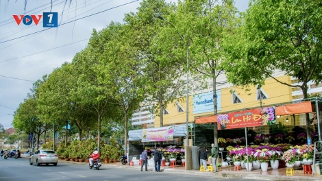 Đắk Lắk tăng cường đảm bảo trật tự và mỹ quan trong dịp Tết