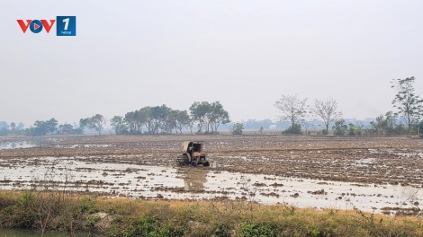 Hệ thống thủy lợi Bắc Hưng Hải đảm bảo tiến độ lấy nước đổ ải vụ Đông xuân trong