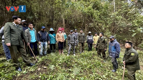 Giữ màu xanh nơi đại ngàn biên giới