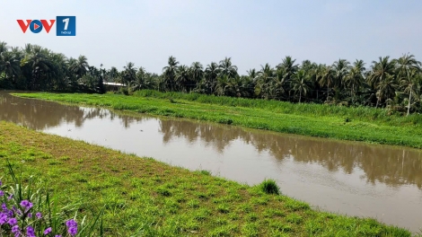    Nông dân Tiền Giang vui Xuân không quên ứng phó hạn mặn